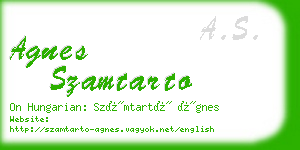 agnes szamtarto business card